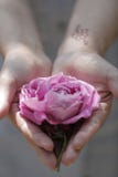 Spring is here, flowers make everything better. Stock Photo Spring is here, flowers make everything better. Stock Photo