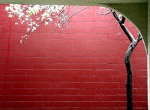 Spring In A City Royalty Free Stock Image Spring In A City Royalty Free Stock Image