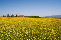 Spring Landscape Royalty Free Stock Photography Spring Landscape Royalty Free Stock Photography