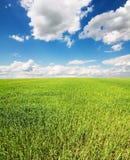 Spring Landscape Stock Image Spring Landscape Stock Image