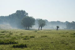 Spring Landscape In Poland Near Vistula River Stock Photo Spring Landscape In Poland Near Vistula River Stock Photo