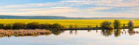 Spring Landscape With Yellow Rapeseed Field Near The River During Sunset, Panorama Royalty Free Stock Photo