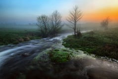 Morning. foggy dawn near a picturesque river royalty free stock photo Morning. foggy dawn near a picturesque river royalty free stock photo