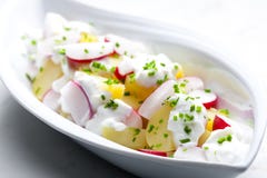 Spring Potato Radish Salad With Garlic Dip Royalty Free Stock Photos