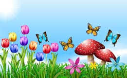 Spring (primavara) Spring-season-flowers-butterflies-51962909