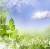 Spring or summer abstract background with bokeh lights. stock photos Spring or summer abstract background with bokeh lights. stock photos