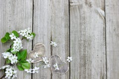 Spring tree blossoms and wood hearts border wooden fence