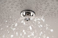sprinklerbestänkande arkivfoton sprinklerbestänkande arkivfoton