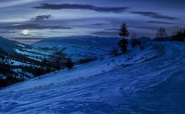 Spruce tree on snowy meadow in mountains at night stock images Spruce tree on snowy meadow in mountains at night stock images