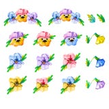 Square frame of watercolor blooming tricolor violet viola pansy flowers on a white background with copy space for text in the stock illustration Square frame of watercolor blooming tricolor violet viola pansy flowers on a white background with copy space for text in the stock illustration