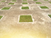 Square green grass on old concrete floor. blur background royalty free stock photos Square green grass on old concrete floor. blur background royalty free stock photos