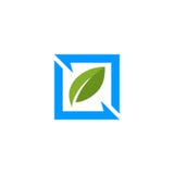 Square leaf nature logo. vector illustration Square leaf nature logo. vector illustration