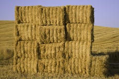 Squared Hay Balls Stacked In A Sunny Day Royalty Free Stock Images