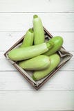 Squash märgzucchini Bakgrund f?r ny mat royaltyfri foto Squash märgzucchini Bakgrund f?r ny mat royaltyfri foto