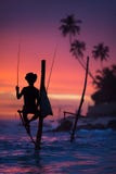 Sri Lanka`s Stilt Fisherman