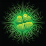 St. Patrick S Day Stock Images