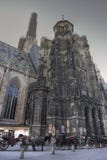 St. Stephens Cathedral Vienna Stock Photography St. Stephens Cathedral Vienna Stock Photography