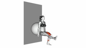 Stability Ball Single Leg Squat exercise