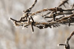 Stacheldraht mit Eiskristallen stockbilder Stacheldraht mit Eiskristallen stockbilder