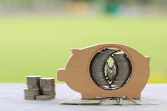 Stack of coins money in piggy bank wood on natural green backgro stock images Stack of coins money in piggy bank wood on natural green backgro stock images