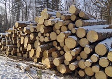 Stack Of Logs In A Taiga Royalty Free Stock Photography Stack Of Logs In A Taiga Royalty Free Stock Photography