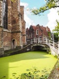 Stadscentrum van Delft met het kanaal in eendekroos, Netherl wordt behandeld die royalty-vrije stock foto Stadscentrum van Delft met het kanaal in eendekroos, Netherl wordt behandeld die royalty-vrije stock foto