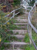 Staircase in the forest, Galicia, Spain royalty free stock image Staircase in the forest, Galicia, Spain royalty free stock image