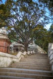 Stairs of pashupatinath stock photography Stairs of pashupatinath stock photography