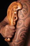 stam- maori modeller stam- maori modeller