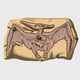 Stampa fossilizzata del pterodattilo sulla pietra royalty illustrazione gratis Stampa fossilizzata del pterodattilo sulla pietra royalty illustrazione gratis
