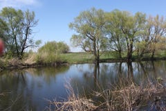 Standing water in a quiet river spill stock photography Standing water in a quiet river spill stock photography