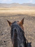 Standpunt van een hoofd van de basutoponey vanuit een perspectief van paardruiters wordt geschoten, bergen van Lesotho, Afrika da royalty-vrije stock afbeeldingen Standpunt van een hoofd van de basutoponey vanuit een perspectief van paardruiters wordt geschoten, bergen van Lesotho, Afrika da royalty-vrije stock afbeeldingen