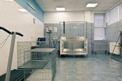 Stanza veterinaria di trattamento di orthopedics Fotografie Stock Libere da Diritti Stanza veterinaria di trattamento di orthopedics Fotografie Stock Libere da Diritti
