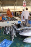 Stapel von frischen Fischen beim Muttrah Souq stockbild Stapel von frischen Fischen beim Muttrah Souq stockbild