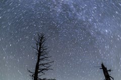 Star Trails at Bryce Canyon stock photography Star Trails at Bryce Canyon stock photography