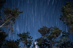 Star trails in the night sky with tree stock photography Star trails in the night sky with tree stock photography