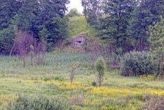 Stara ambrazura militarny pillbox na wzgórzu z drzewami i trawą obraz royalty free Stara ambrazura militarny pillbox na wzgórzu z drzewami i trawą obraz royalty free