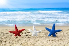 Starfish on beach during July fourth