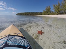 Starfish and Paddleboard in Shallow Clear Water royalty free stock image Starfish and Paddleboard in Shallow Clear Water royalty free stock image