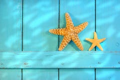 starfish двери старые деревенские starfish двери старые деревенские