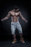 Stark idrotts- mankonditionmodell Torso som visar stora muskler royaltyfri foto Stark idrotts- mankonditionmodell Torso som visar stora muskler royaltyfri foto