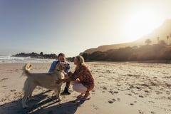 Starsza para z zwierzę domowe psem na plaży zdjęcie stock Starsza para z zwierzę domowe psem na plaży zdjęcie stock