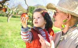 Starszy mężczyzna trzyma uroczego małej dziewczynki zrywanie fotografia stock Starszy mężczyzna trzyma uroczego małej dziewczynki zrywanie fotografia stock