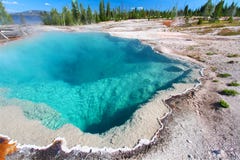 Stationnement national de Yellowstone de regroupement noir photos libres de droits Stationnement national de Yellowstone de regroupement noir photos libres de droits
