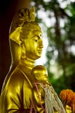 The face of Guan Yin gold. royalty free stock photos The face of Guan Yin gold. royalty free stock photos