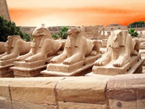 Statues In A Egypt Royalty Free Stock Photos