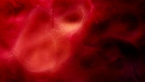 Steam flow magic fairy dust red abstract smoke