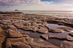 Steenmozaïek in Muriwai-strand, Nieuw Zeeland royalty-vrije stock afbeelding Steenmozaïek in Muriwai-strand, Nieuw Zeeland royalty-vrije stock afbeelding