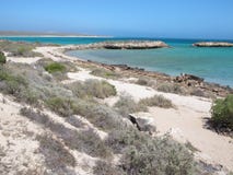 Steiler Punkt, Westernmost Punkt, Haifisch-Bucht, West-Australien lizenzfreies stockfoto Steiler Punkt, Westernmost Punkt, Haifisch-Bucht, West-Australien lizenzfreies stockfoto