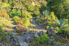 Steingarten mit Succulents und Kakteen stockfotografie Steingarten mit Succulents und Kakteen stockfotografie